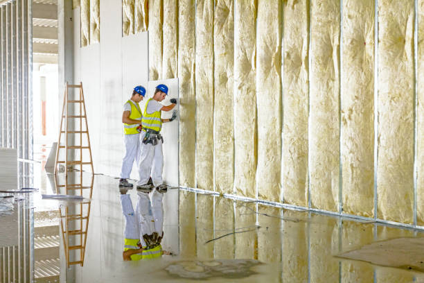 Insulation Air Sealing in El Granada, CA